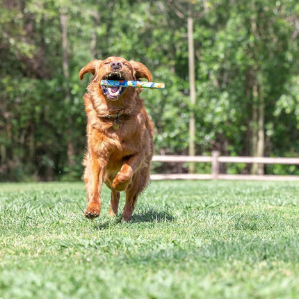 Chuckit! EcoFetch Fetch Stick Dog Toy, Pack of 1, for All Breed Sizes (EcoFetch Stick)