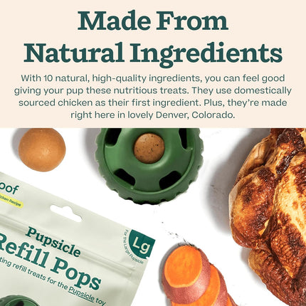 Chicken Refill Pops for Pupsicle, Delicious Long Lasting Dog Treats, Wholesome Ingredients, Pre-Made Large Refills Pops - For Dogs 25 - 75 lbs - 7 count