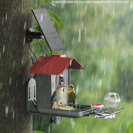 Smart Bird Feeder with Camera Outdoor: Solar Birdfeeder Cam for Outside Garden - 2K HD Live Video Camera AI Recognition Visible Window Auto Capture - Bird Lover Gifts
