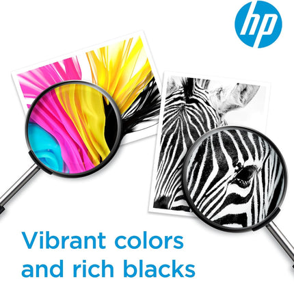 HP 65 Black/Tri-Color Ink Cartridges (2-Pack) | Works with AMP 100, DeskJet 2600, 3700, Envy 5000 | Eligible for Instant Ink | T0A36AN