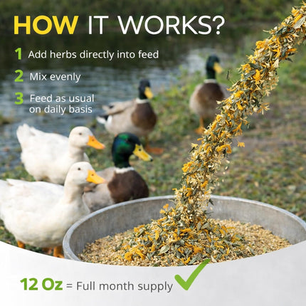 Buff Clucks Herb Supplement for Ducks - Natural Waterfowl Treat, Botanical Duck Feed Additive, Plant-Based Flock Support for Egg Production, Feather Health & Daily Wellness, Handcrafted in USA (12 oz)