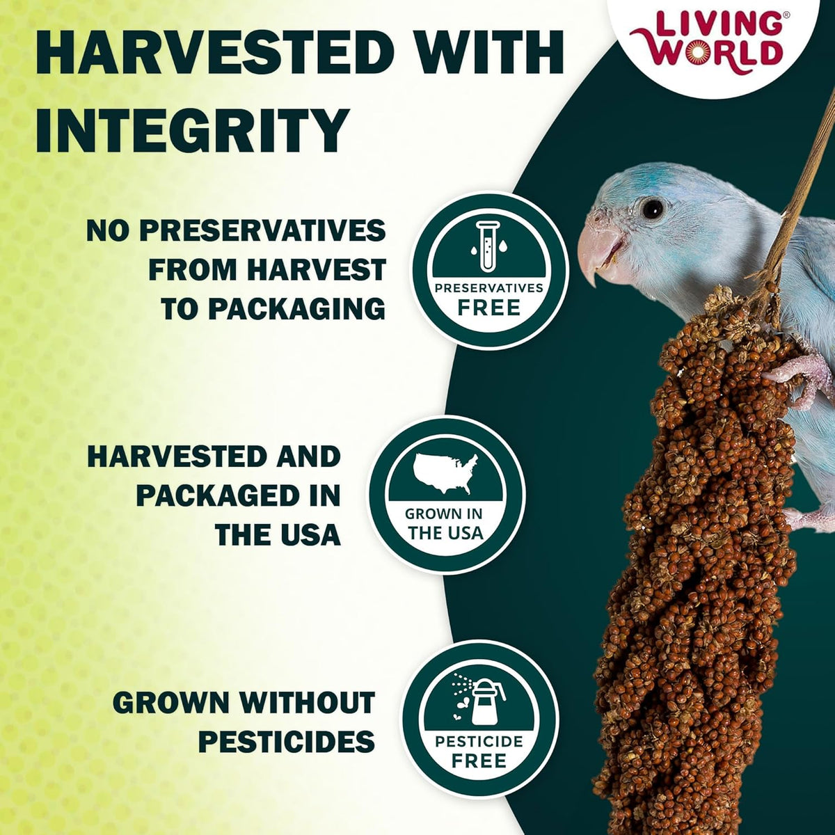 Millet Spray for Birds, 3.5 Oz - photo 3
