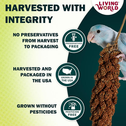 Millet Spray for Birds, 3.5 Oz - photo 3