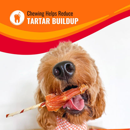 Triple Flavor Kabobs Long-Lasting Dog Treat, Beef Hide and Chicken, 24 oz - photo 5