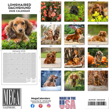 Longhaired Dachshund Calendar 2026 – 16-Month Dog Breed Wall Calendar by MegaCalendars – Large Daily Blocks, Thick No-Bleed Paper, Made in USA