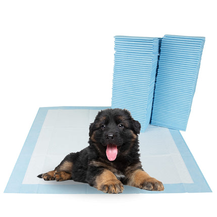 Puppy Pads Leak-Proof 100 Count 22"x 22" - Absorbent Pee Pads for Dogs with 6-Layer Design, Rapid Dry - photo 10