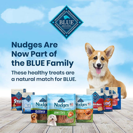 Nudges Steak Jerky Dog Treats, 16 oz (014134)