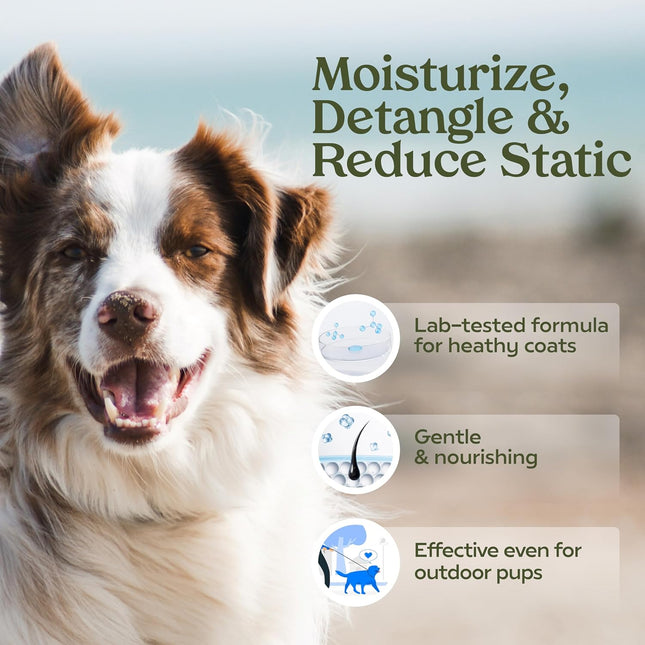 Dog Perfume Spray for Grooming, Blue Ribbon, 1-Pack – Keep Your Pup Fresh All Day – Probiotic - photo 2