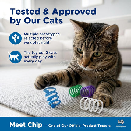 Cat Spring Toys (Set of 4) Made in USA – Safe Non-Toxic Materials – Injection Molded with Smooth Rounded Tips – Premium Interactive Toys for Indoor Cats & Kittens