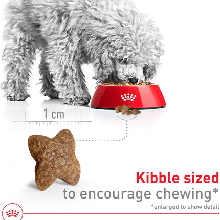 Royal Canin Size Health Nutrition Small Adult Dry Dog Food, 4 lb Bag