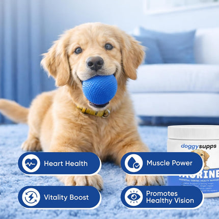 Doggy Supps Taurine for Dogs, Taurine Supplement for Dogs, Immune Support, Boost Energy & Vitality, Skin & Coat Health for Heart, Vision & Daily Wellness, 200 Grams (1)
