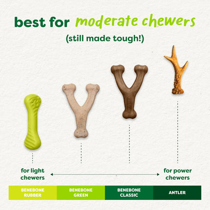 Benebone Green Plant-Based Real Bacon Wishbone Dog Chew Toy for Medium Dogs, Dog Bones for Moderate Chewers, Made in USA