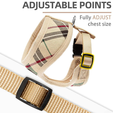 PUPTECK Soft Mesh Dog Harness Small Sized and Leash Set Pet Puppy Cat Comfort Padded Vest No Pull Harnesses, Beige, S