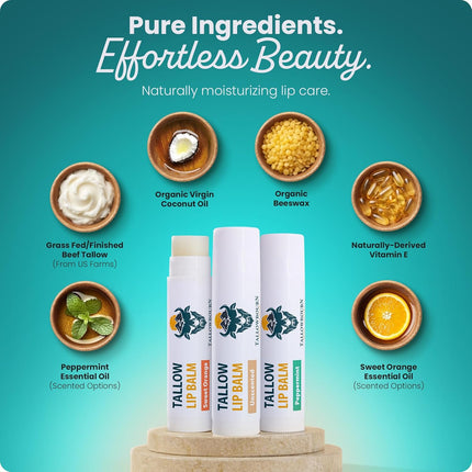 Moisturizing Tallow Lip Balm – Grass-Fed Beef Tallow with Organic Coconut Oil, Beeswax, and Vitamin E – Lip Balm Set – Variety Pack – Travel Essential – 3-Pack