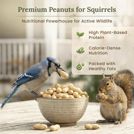 Forest Haven Premium Raw Peanuts for Squirrels – 5LB Bulk Squirrel Food – Unsalted Peanuts in Shell for Birds, Deer & Wildlife – Bonus Binoculars Included - USA Grown