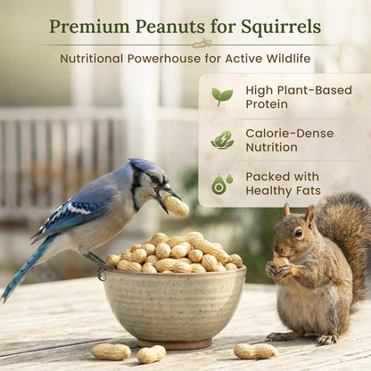 Premium Raw Peanuts for Squirrels, 2 lb Bulk Wildlife Food - photo 4
