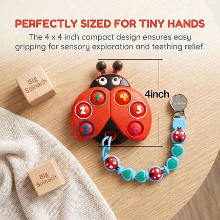 BIGSPINACH Teething Toy & Pacifier Clip Set,Ladybug Pop-It Teether & Pacifier Hold,Multi-Textured Chew Toy with Number Buttons for Early Learning, Baby Teething Relief (Red+Blue)