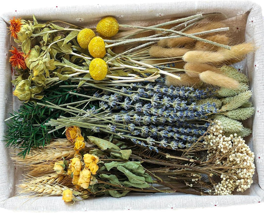DIY Natural Dried Flower Set in Brown
