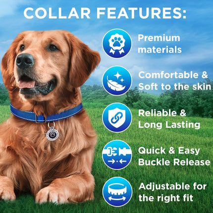 TECEUM Reflective Dog Collar – Navy Blue – S – Extra Soft Padding – Basic Nylon Pet Collar – Quick Release Buckle – Fits Small, Medium and Large Dogs, Puppies, Cats – ESA & Service Dog Options