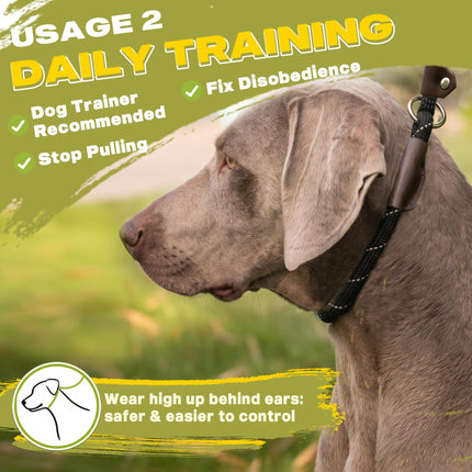 Durable Slip Lead Dog Leash, 6 FT x 1/2" Dog Training Leash, Black