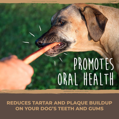 Bully Sticks - All-Natural Protein-Rich Dog Chews from Grass-Fed Beef. Single-Ingredient Pet Treat for - photo 3