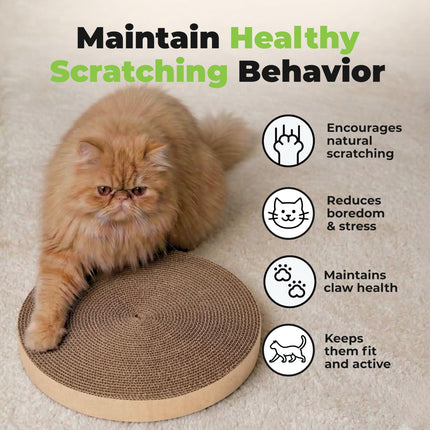 Spin n' Scratch Cat Scratch Pad Refill - Round, 5-Pack