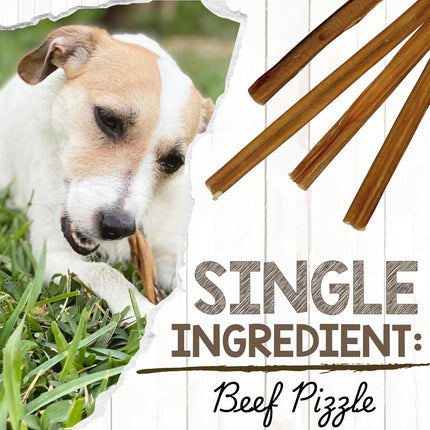 Nature Gnaws Small Bully Sticks for Dogs 5-6" (5 Count) - Long Lasting for Light Chewers and Puppies - Natural Thin Beef Dog Chew Bones - Rawhide Free