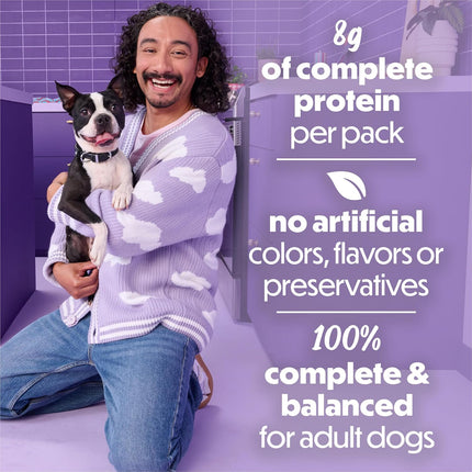 Purina Beneful Kitchen Creations With Beef and Garden Veggies in Sauce Wet Dog Food - (Pack of 12) 3 oz. Cans