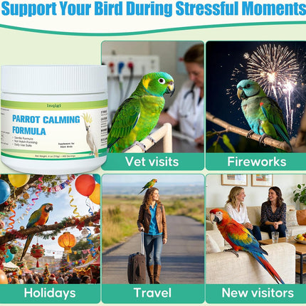 Parrot Calming Supplement – Natural Bird Stress Support Powder for Fireworks, Travel & Visitors – Vet-Formulated – Easy to Use Daily Support for Parrots – 4oz (450 Servings)