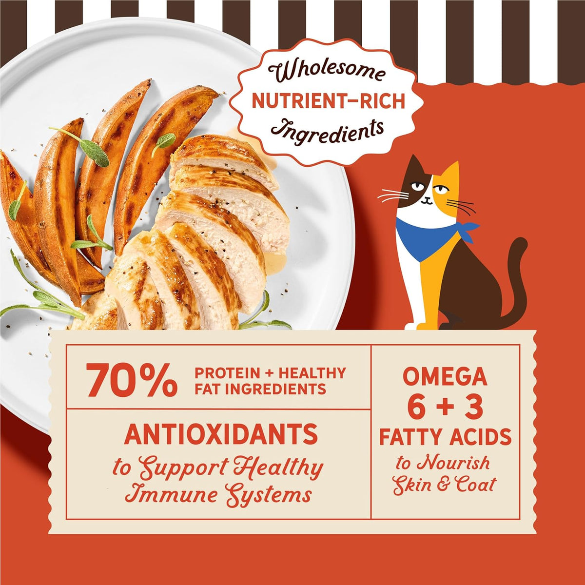 Grain Free Chicken and Sweet Potato Recipe Natural Dry Cat Food for Adult Cats, High Protein, Outdoor or - photo 2