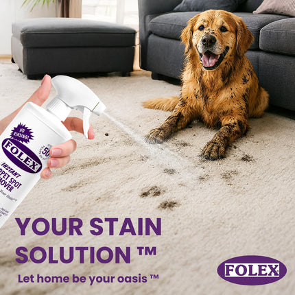 Instant Carpet Spot Remover 32 oz – Powerful Stain Remover for Carpets, Upholstery & Rugs – Eliminates Pet Stains, Grease, Red Wine, Food, Makeup & More – With Reusable Cleaning Cloth - 1 Pack