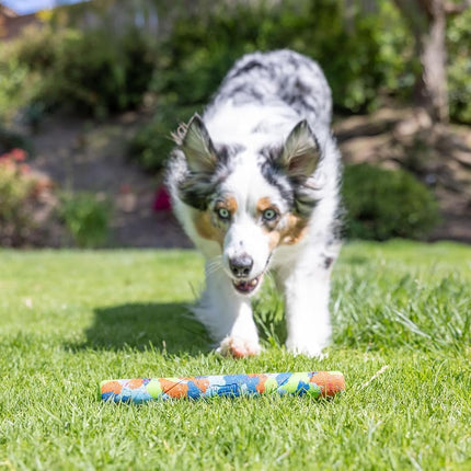 Chuckit! EcoFetch Fetch Stick Dog Toy, Pack of 1, for All Breed Sizes (EcoFetch Stick)