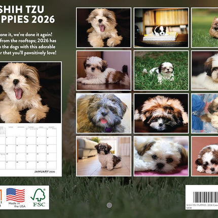 Shih Tzu Puppy Calendar 2026 Shitzu Monthly Wall Calender 12 Month | American Made In The USA