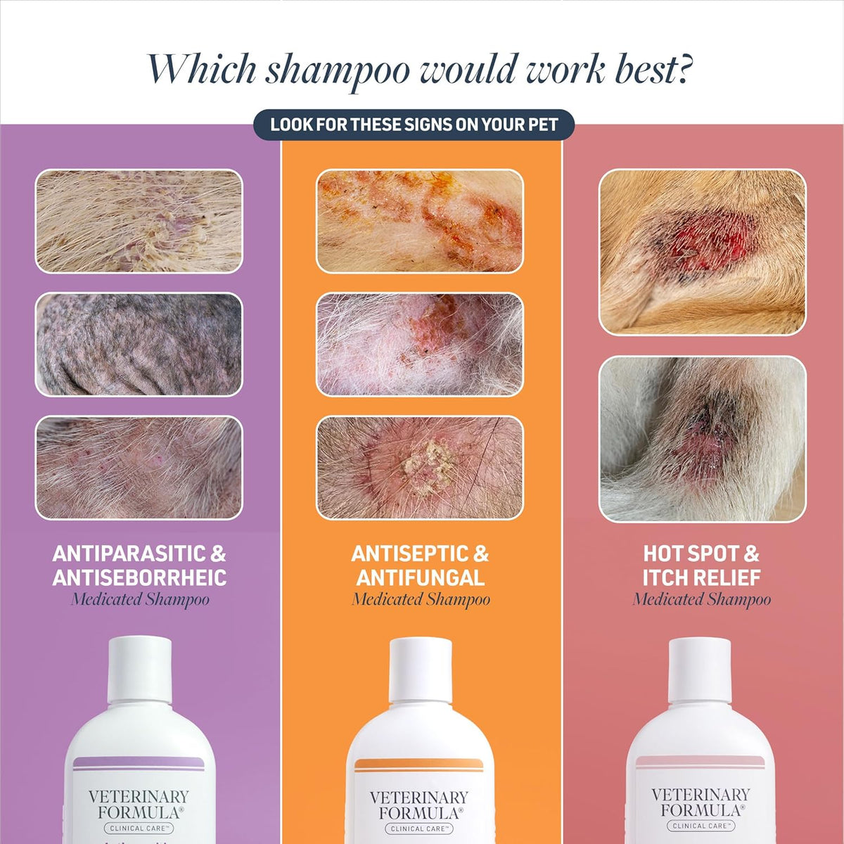 Antiseptic and Antifungal Medicated Shampoo for Dogs & Cats, 16 Fl Oz – Helps Alleviate Scaly, Greasy - photo 4
