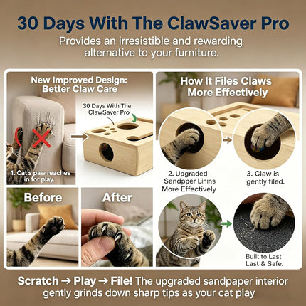 Clawsaver Box for Cats, Cat Clawsaver, Rufftopia Cat Claw Saver, Cat Toys for Indoor Cats - Nail File Box with Interactive Cat Toys, Cat Puzzle Feeder Scratch Puzzle Toy for Indoor Cats (Set-B)