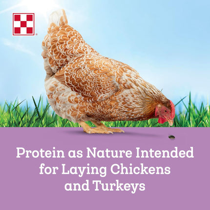 Purina® Farm to Flock® Protein Block for Chickens & Turkeys, 20 Pound Block