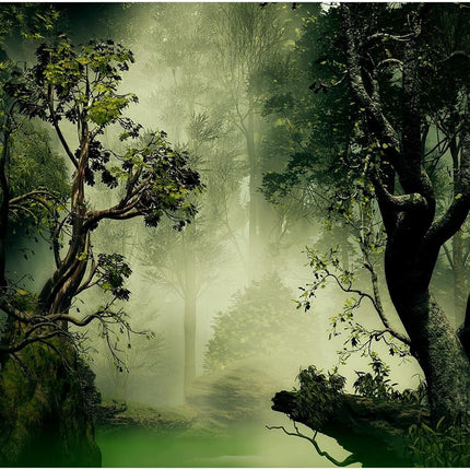 Deep Forest Aquarium Background Tranquil Lake Foggy Misty Rainforest Terrarium Background Tropical Jungle Old Trees Fish Tank Background Natural Forest Landscape Aquarium Backdrop Poster Vinyl 30x12in
