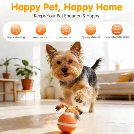 Interactive Dog Toys,Dog Ball Toy with Squeaky Birdsong Sound and Stimulation,Automatic Motion Activated Dog Toy for Boredom,Indoor Outdoor Pet Exercise Toy for Small/Medium Dogs(Blue)