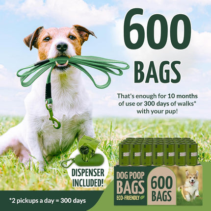 Reli. Biodegradable Dog Poop Bags Rolls (600 Pack, 40 Rolls) | 9"x13" Oxodegradable | Large Dog Poop Bags | Unscented, Leak Proof for Doggie/Pet Waste | Green Eco-Friendly | w/Leash Clip Holder