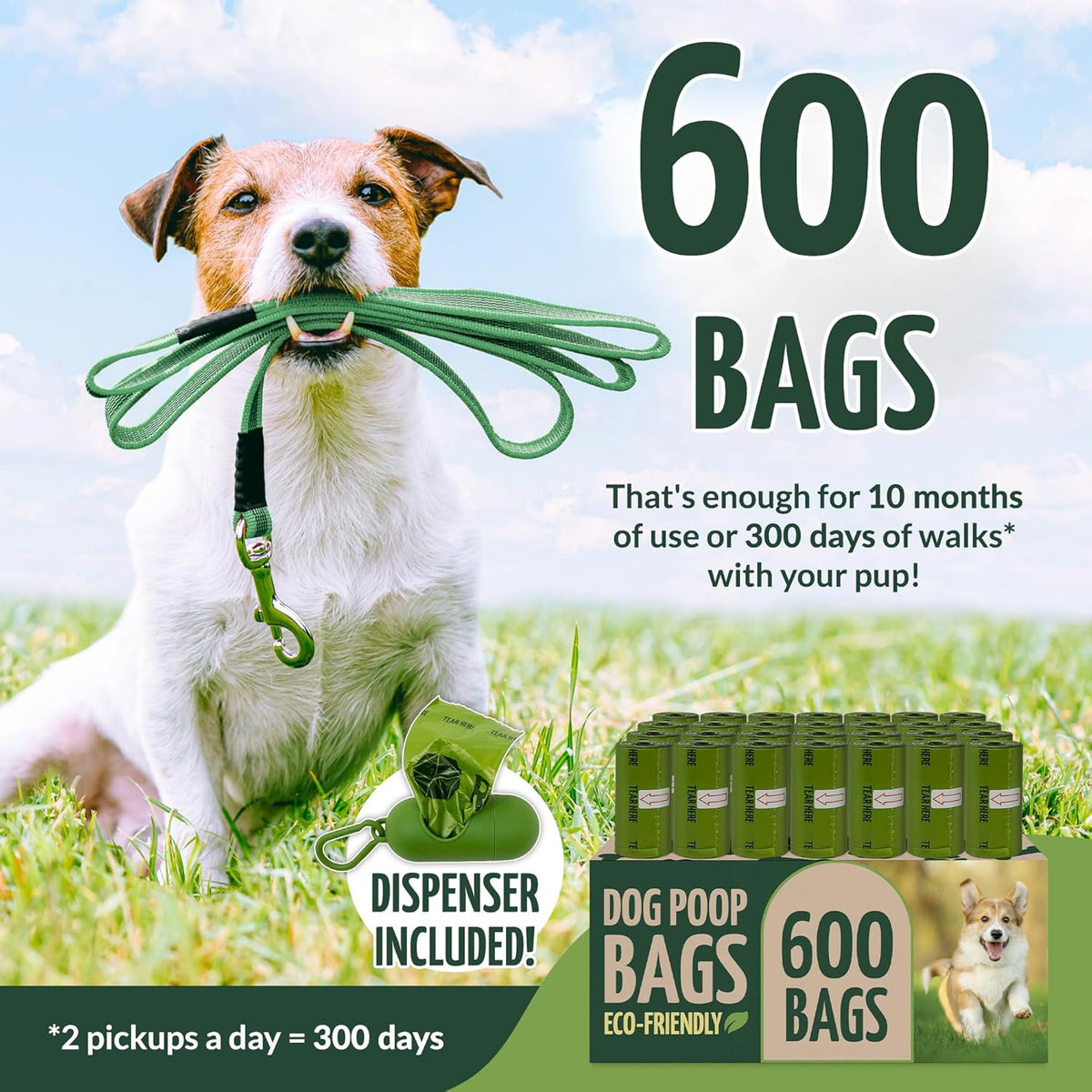 Biodegradable Dog Poop Bags Rolls (600 Pack, 40 Rolls) | 9"x13" Oxodegradable | Large Dog Poop Bags  - photo 2