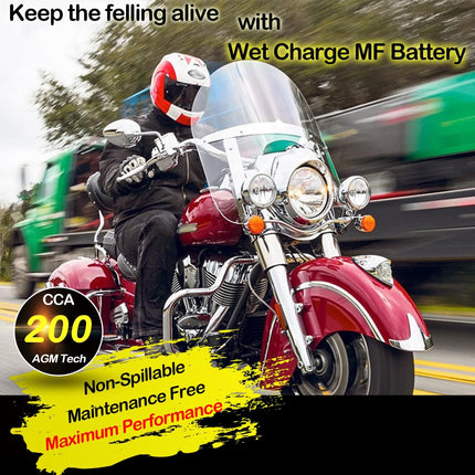 YTX14 BS ATV Battery High Performance - Maintenance Free - Sealed AGM YTX14-BS Motorcycle Battery compatible with Honda Suzuki Kawasaki Yamaha scooter snowmobile