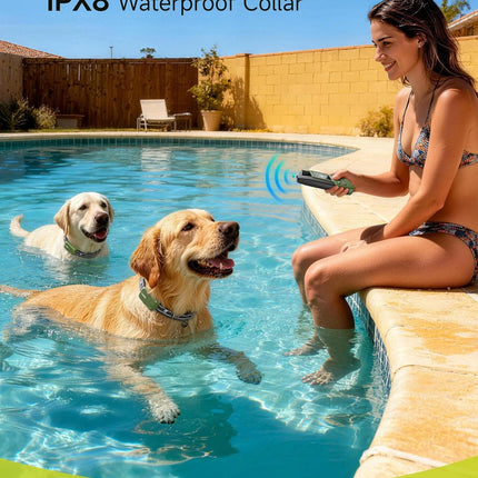 Jugbow Shock Collar for 2 Dogs (10-120lbs) - 4200FT Dog Training Collar with Remote, IPX8 Waterproof Electric Collar with 4 Training Modes, Rechargeable E-Collar for Large Medium Small Breeds