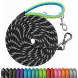 30 FT Dog Leash, Obedience Recall Training Agility Lead, with 2 Swivel Hooks, Reflective Threads and Soft Handle, Puppy Leash for Walking, Hunting, Camping for Small Medium and Large Dogs-Black