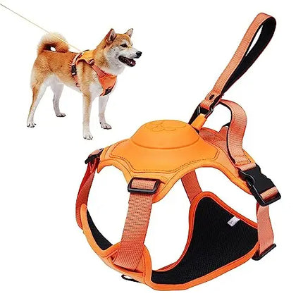 Dog harness back clip and leash kit buckle hardware detail