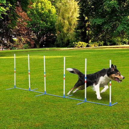 Lightweight Dog Agility Weave Pole Kit 6 Adjustable PE Poles for Outdoor Training 120inLx23.5inDx37inH White 5.3lb Includes Foldable Carry Bag