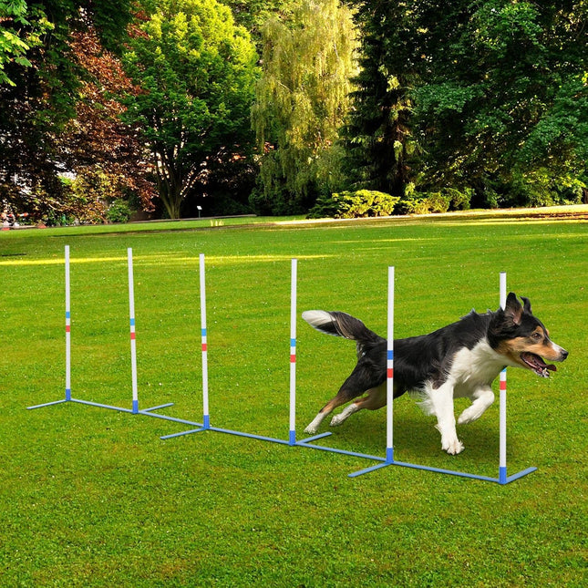PawHaven RefugioPata Lightweight Dog Agility Weave Pole Kit 6 Adjustable PE Poles — Pet Supplies