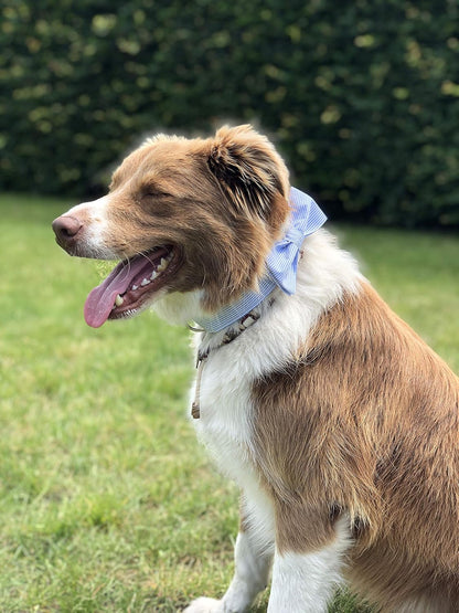 Pet Soft &Comfy Bowtie Dog Collar and Cat Collar Pet Gift for Dogs and Cats 6 Size and 7 Patterns - photo 5