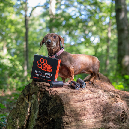 Dog Poop Bags Rolls with Handles, Extra Thick Poop Bags for Dogs