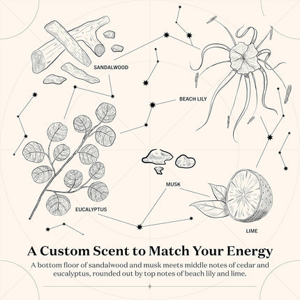 Birthdate Candles, April 21 - Taurus Zodiac Scented Candles Birthday Gift - Cedar, Sandalwood & Eucalyptus Scent - All-Natural Soy & Coconut Wax, 60-80 Hour Burn Time - Made in USA