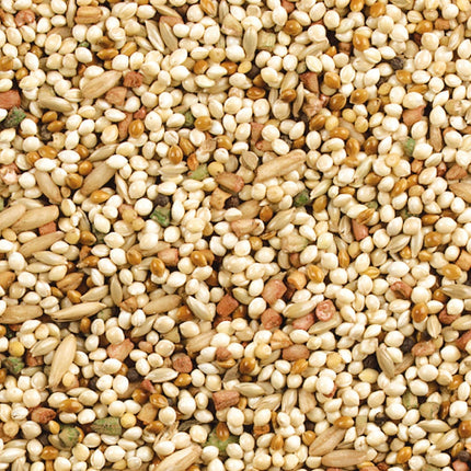 Wild Harvest Daily Blend Nutrition Diet for Parakeet, Canary and Finch 10 Pounds, Orange flavour